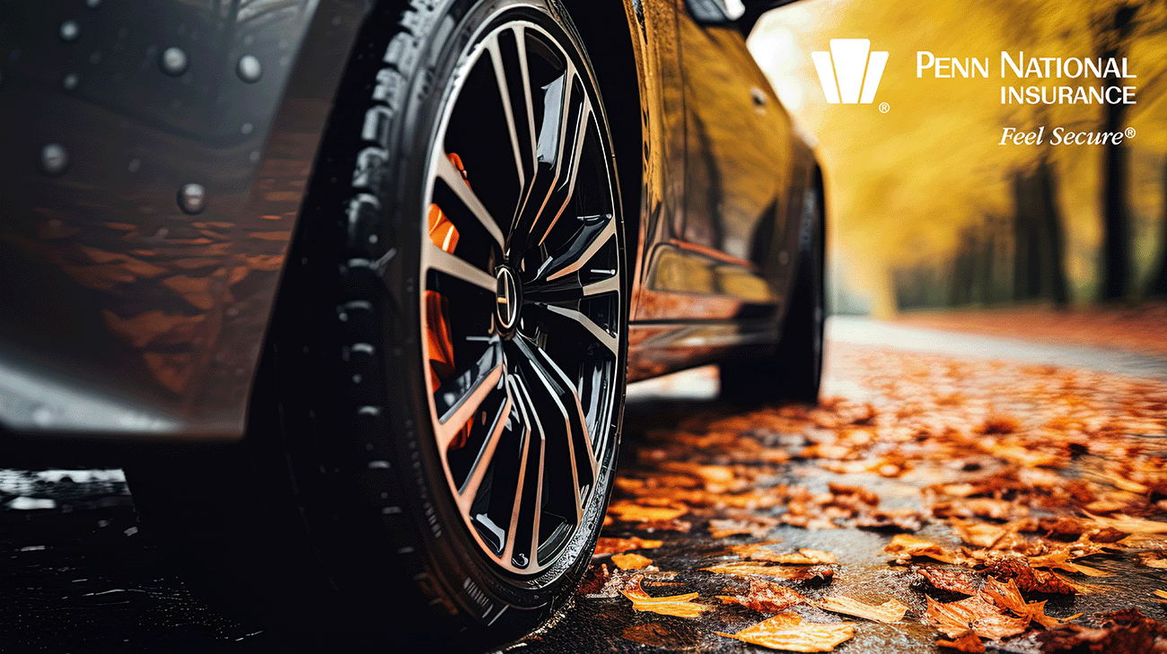 Tire-wet leaves PNI Logo.png