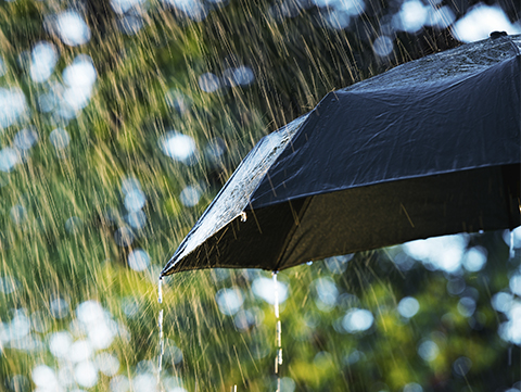 Close up of open umbrella 