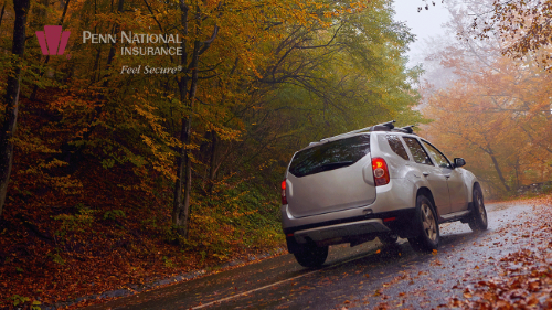 Car-wet road and leaves - PNI Logo.png